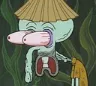Octo