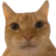 MousnorsMoederIsDood