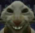 MS_XD Discord emoji
