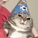 sadnesscat Discord Emoji