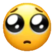 plead
