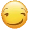 moji_smirk