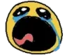 moji_wailcry