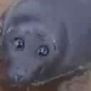 emoji_6