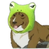 EinFroggy Discord emoji