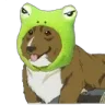 EinFroggy