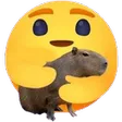 capyhug