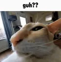 GUH