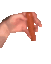 weiner