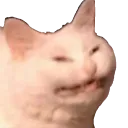 mruh