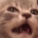 Agony3