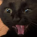 AHHHHHH AHHHHHH