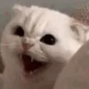 Anger4