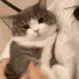BiteFinger
