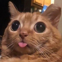:Blep5: