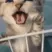 CatJail