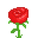 gtRose