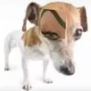emoji_5
