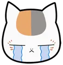 nyankosob