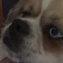 FHsnort