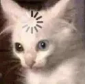 a_catloading Discord Emoji