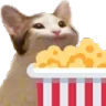gatopopcorn