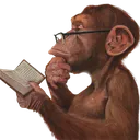NW_Think