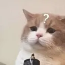 xvv_cat_2 Discord Emoji