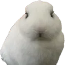 cloudangry