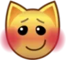 blushcatemoji Discord Emoji