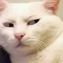 Sus sus Discord Emoji