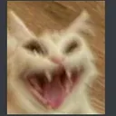 Nyahahahaha