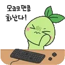 moko_mad moko_mad