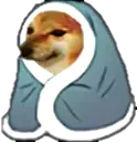 c9thandlagri