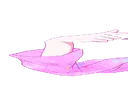 widekoba1