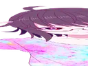 widekoba2