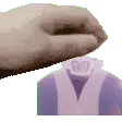 PetPrarrie