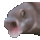 Pogfish PogFish Discord Emoji