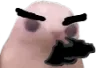 binguswagun
