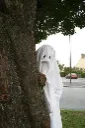 ghosttree