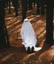 ghostautmnforest
