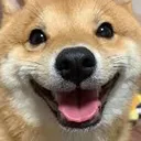 Happydodge Discord Emoji