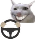 CursedCatDrive