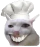 CursedCatChef