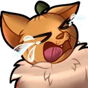 curt_cry