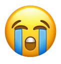 iu_cry iu_cry