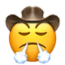 triumphcowboy