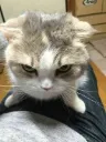 anger anger