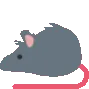 rat_horizontal_spin