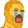 chad_sob Discord Emoji